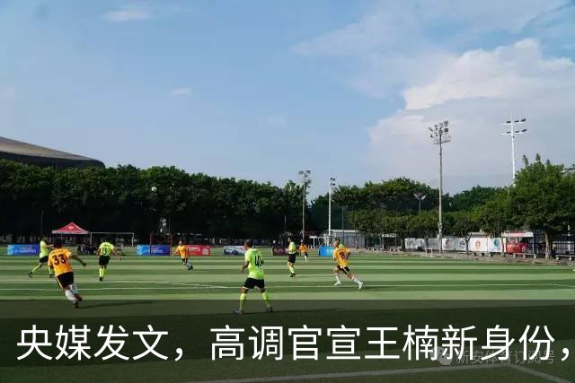 央媒发文，高调官宣王楠新身份，资产查封被带走调查早就真相大白