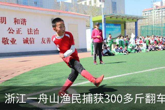 浙江一舟山渔民捕获300多斤翻车鱼，已放归大海
